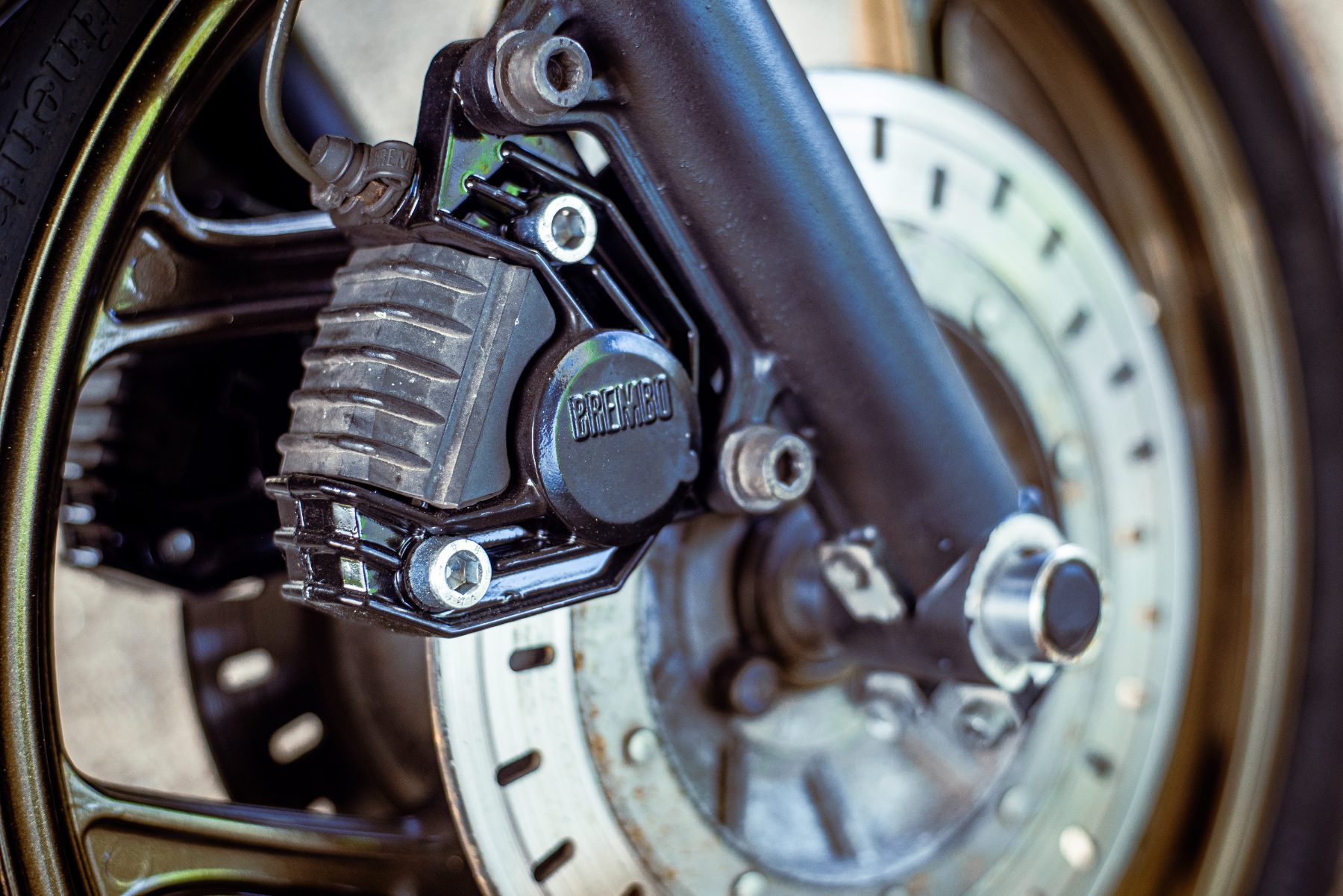Brembo caliper detail